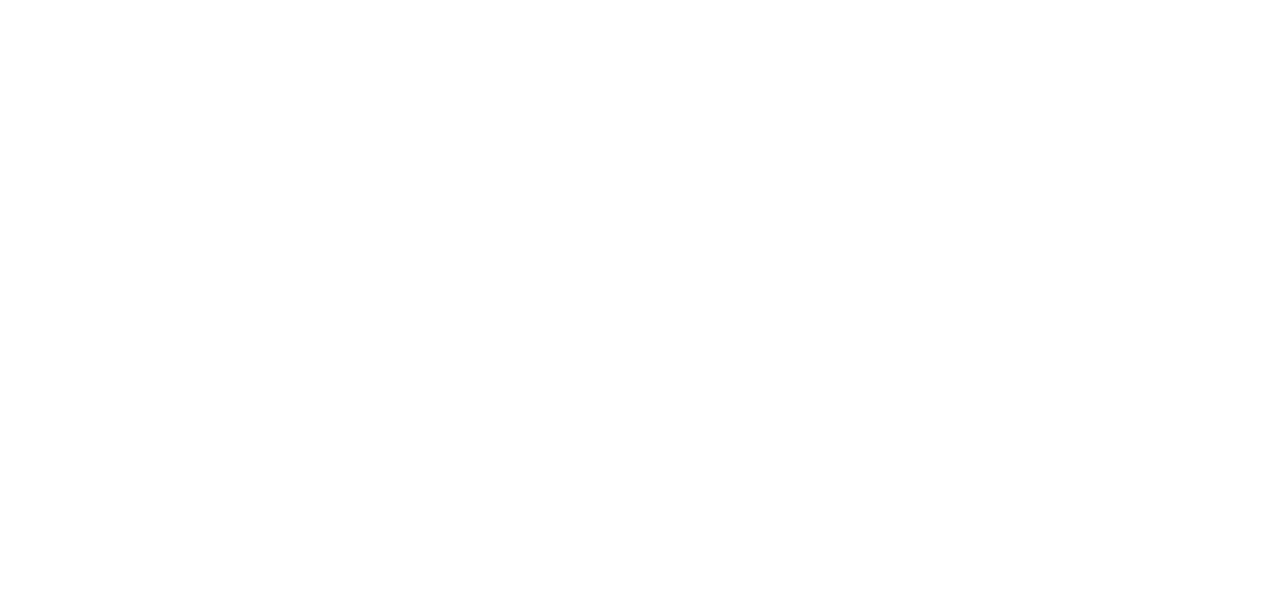 Shoppub
